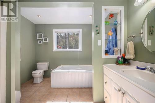 226 Little Silver Lake Road, Lanark, ON - Indoor Photo Showing Bathroom