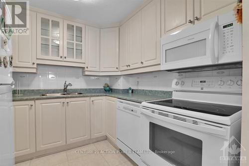 202 - 1599 Lassiter Terrace, Ottawa, ON - Indoor Photo Showing Kitchen With Double Sink