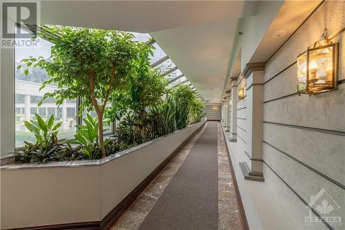 Hallway from the Classics to the shared amenities - 1480 Riverside Drive Unit#2107, Ottawa, ON - Indoor Photo Showing Other Room