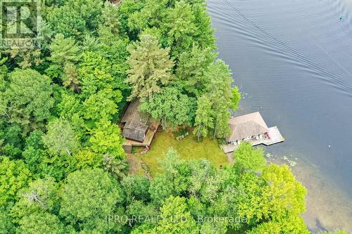 1007 Omineca Road 6 Road, Muskoka Lakes, ON - Outdoor With Body Of Water