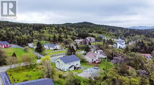 6 Forest Road, Chance Cove, NL - Outdoor With View