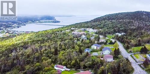 6 Forest Road, Chance Cove, NL - Outdoor With View