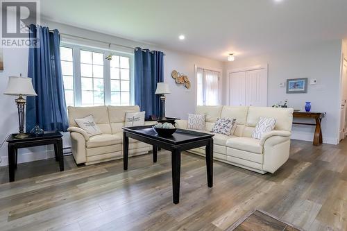 6 Forest Road, Chance Cove, NL - Indoor Photo Showing Living Room