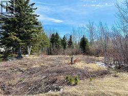 56 Pleasantview Road  Point Leamington, NL None