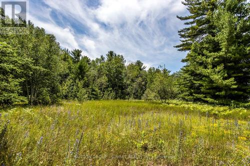 Lot 167 Lafontaine Road W, Tiny, ON 