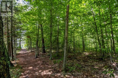 Lot 167 Lafontaine Road W, Tiny, ON 