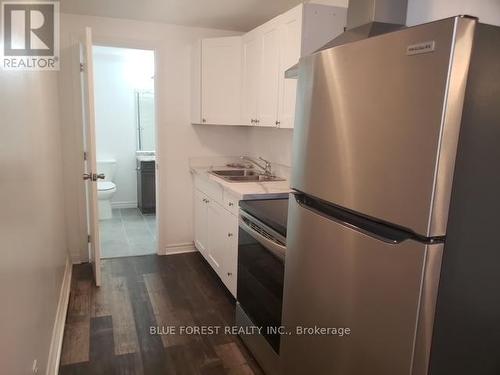 39 Yvonne Crescent, London, ON - Indoor Photo Showing Kitchen With Double Sink