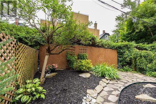 458 Mcleod Street, Ottawa, ON - Outdoor