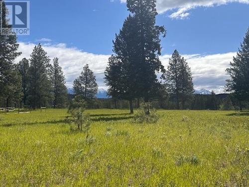 4836 Kennedy  Road, Cranbrook, BC - Outdoor With View