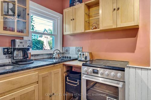 494 Charlotte Street, Peterborough (Downtown), ON - Indoor Photo Showing Kitchen With Double Sink