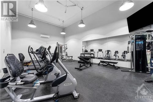 1081 Ambleside Drive Unit#1004, Ottawa, ON - Indoor Photo Showing Gym Room