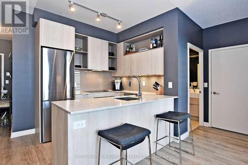 713 - 200 Sackville Street, Toronto (Regent Park), ON - Indoor Photo Showing Kitchen With Upgraded Kitchen