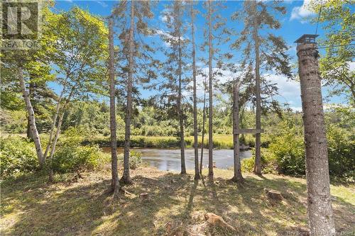 352 Juniper Brook Road, Juniper, NB - Outdoor With View