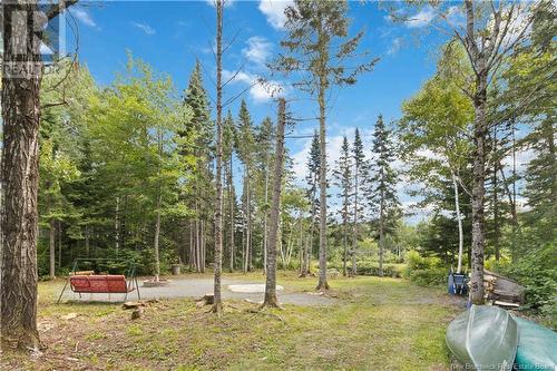 352 Juniper Brook Road, Juniper, NB - Outdoor With View