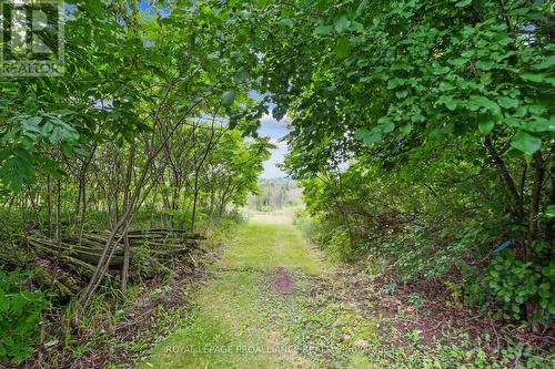 10864 3Rd Line Road, Alnwick/Haldimand, ON - Outdoor