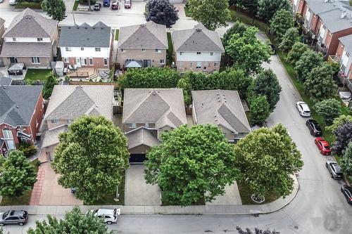 tree lined street - 54 Stonepine Crescent, Hamilton, ON - Outdoor