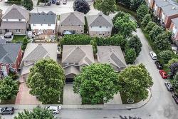 tree lined street - 