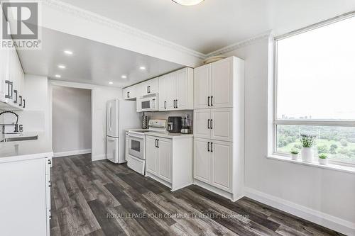 2502 - 195 Wynford Drive, Toronto (Flemingdon Park), ON - Indoor Photo Showing Kitchen