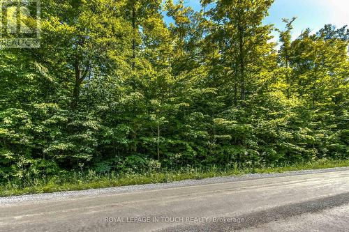 Lot 23 Concession 17 Road W, Tiny, ON 