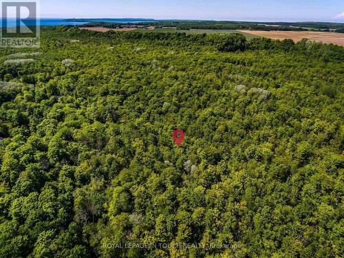 Lot 23 Concession 17 Road W, Tiny, ON 