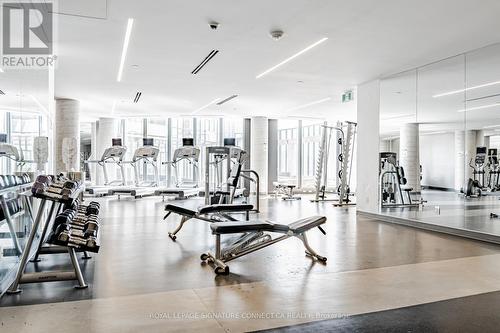 1703 - 51 East Liberty Street, Toronto (Niagara), ON - Indoor Photo Showing Gym Room