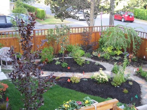 205 St. Andrews St, Victoria, BC - Outdoor With Deck Patio Veranda