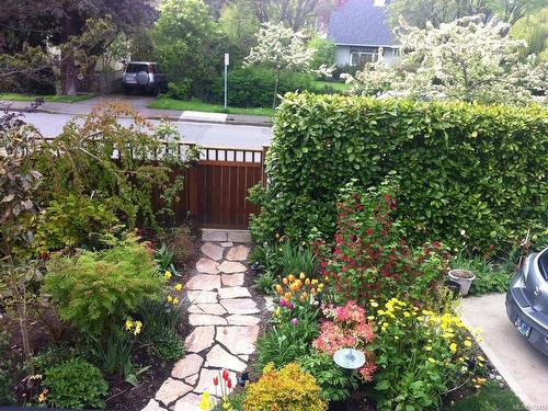 205 St. Andrews St, Victoria, BC - Outdoor