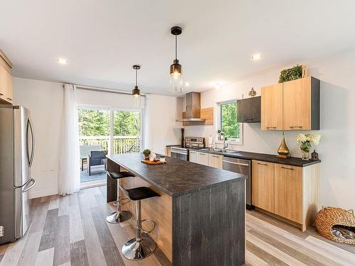 Cuisine - 6042 Rue Monet, Saint-Denis-De-Brompton, QC - Indoor Photo Showing Kitchen With Double Sink