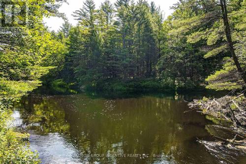 20 Black River Road, Kawartha Lakes, ON - Outdoor With Body Of Water With View