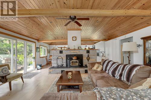 20 Black River Road, Kawartha Lakes, ON - Indoor Photo Showing Living Room With Fireplace