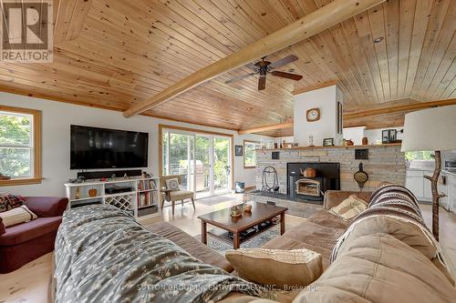 20 Black River Road, Kawartha Lakes, ON - Indoor Photo Showing Living Room With Fireplace