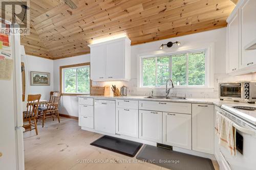 20 Black River Road, Kawartha Lakes, ON - Indoor Photo Showing Kitchen With Double Sink