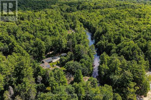 20 Black River Road, Kawartha Lakes, ON - Outdoor With View