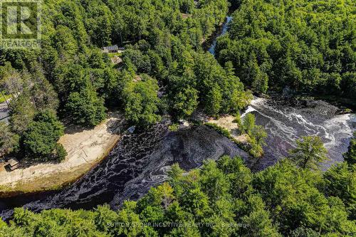 20 Black River Road, Kawartha Lakes, ON - Outdoor With View