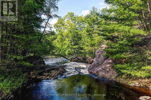 20 Black River Road, Kawartha Lakes, ON - Outdoor With Body Of Water