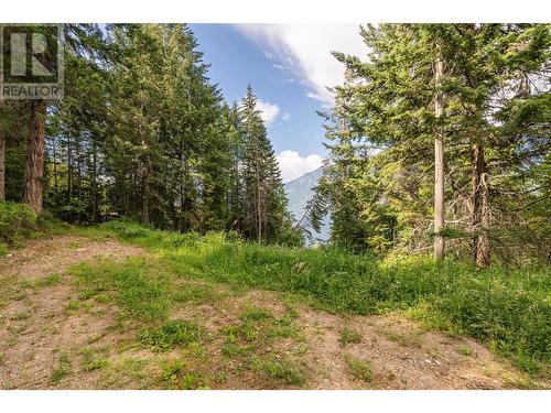 13828 3A Highway, Gray Creek, BC 