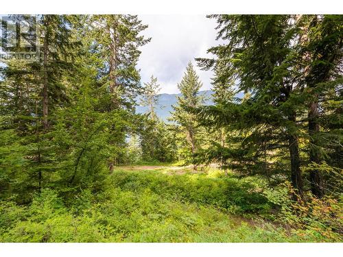 13828 3A Highway, Gray Creek, BC 