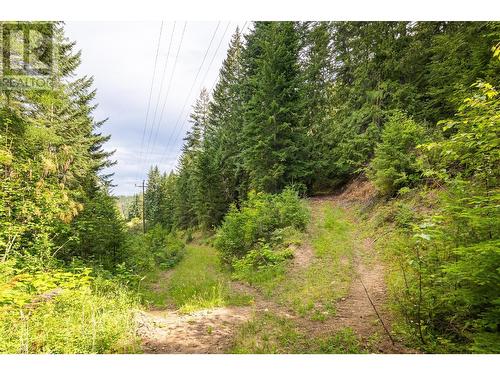 13828 3A Highway, Gray Creek, BC 