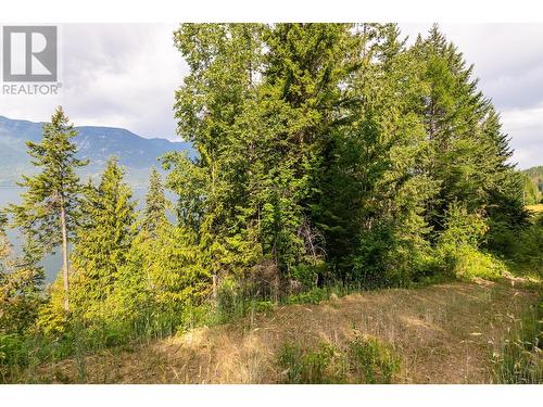 13828 3A Highway, Gray Creek, BC 