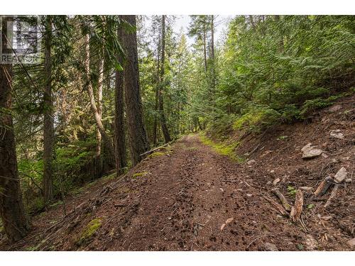 13828 3A Highway, Gray Creek, BC 