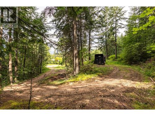 13828 3A Highway, Gray Creek, BC 