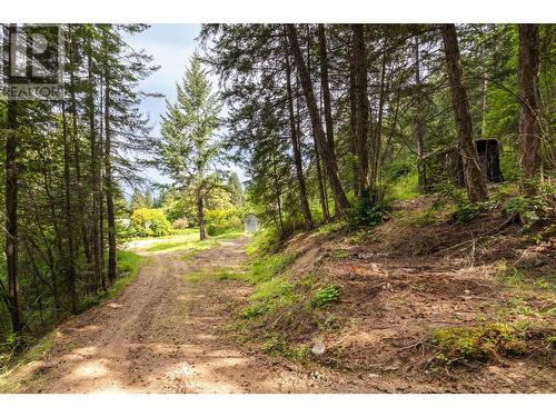 13828 3A Highway, Gray Creek, BC 