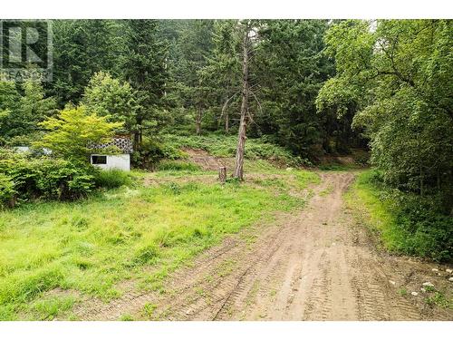 13828 3A Highway, Gray Creek, BC 