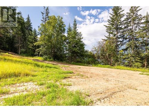 13828 3A Highway, Gray Creek, BC 