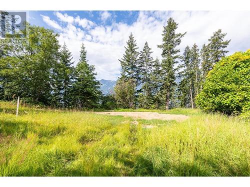 13828 3A Highway, Gray Creek, BC 