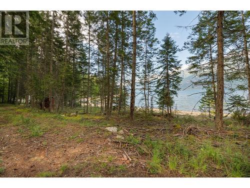 13828 3A Highway, Gray Creek, BC 