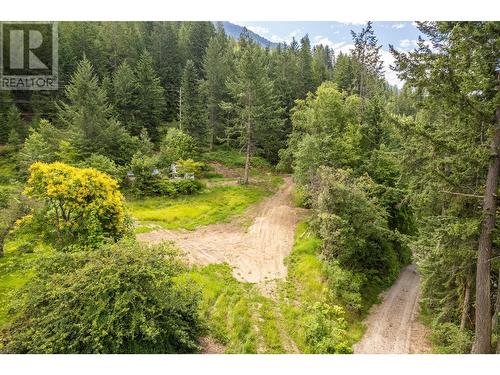 13828 3A Highway, Gray Creek, BC 