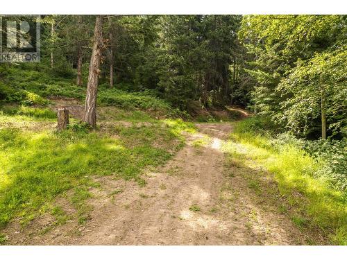 13828 3A Highway, Gray Creek, BC 