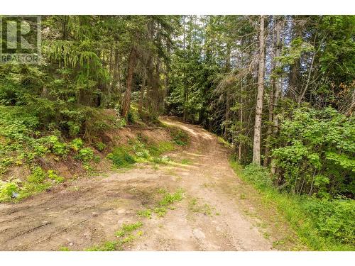 13828 3A Highway, Gray Creek, BC 