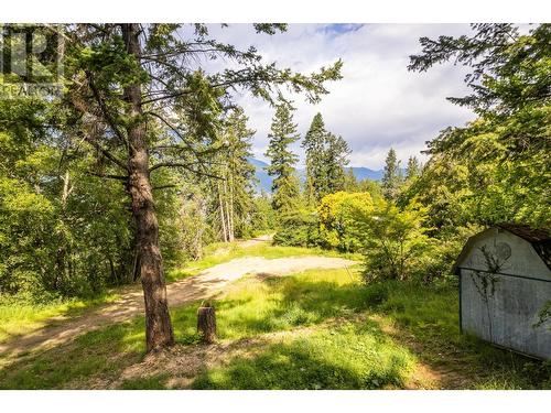 13828 3A Highway, Gray Creek, BC 